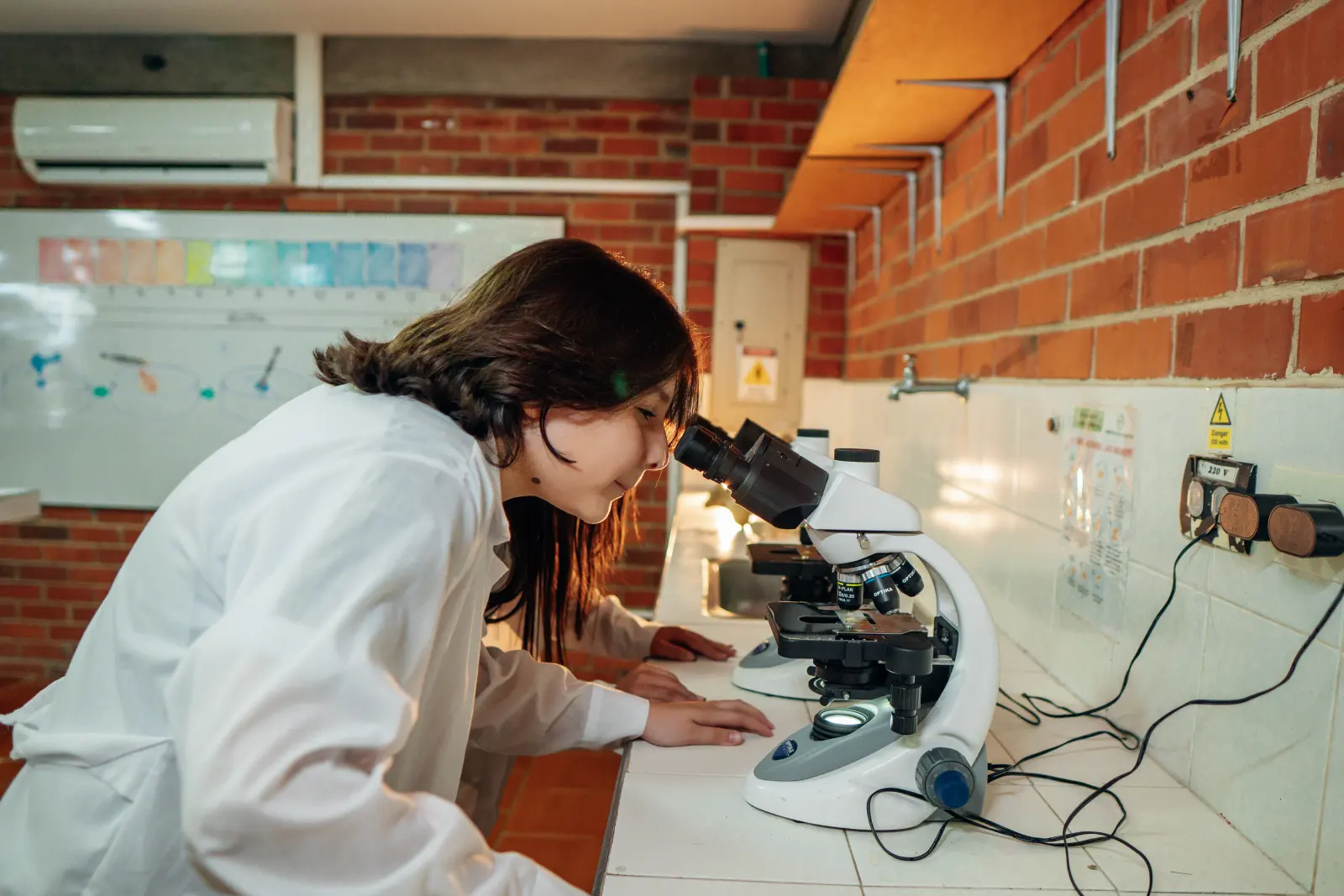 Estudiante del GLA investigando con un microscopio